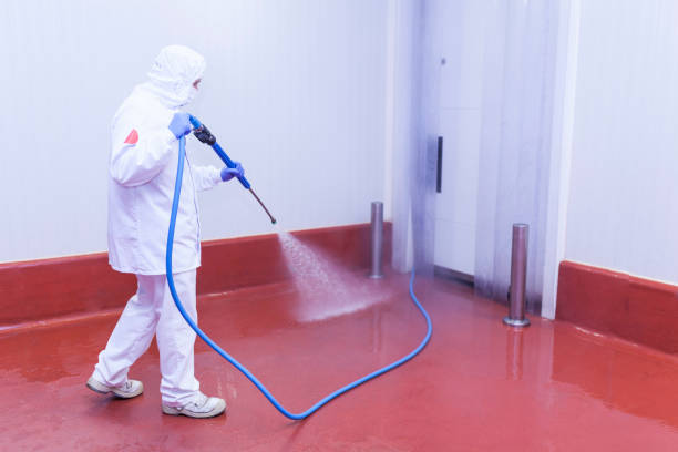 Spring Cleaning in Brownstown, PA